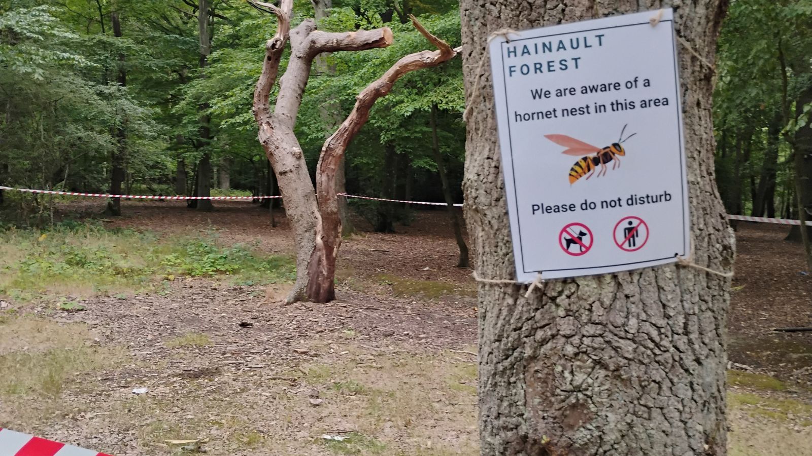 Area of woods cordoned off due to a Hornet Nest